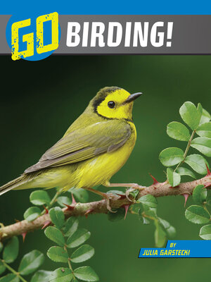 cover image of Go Birding!